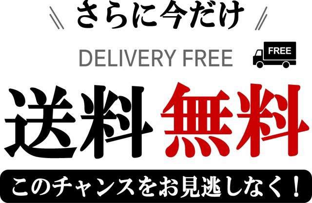 送料無料